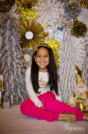Navidad 3 2014-4172
