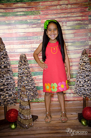 Navidad 3 2014-4118