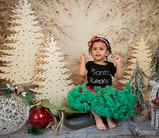 Navidad-13651