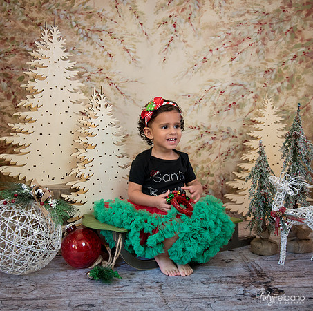 Navidad-13549