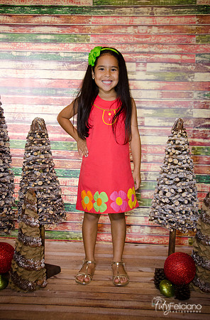 Navidad 3 2014-4111