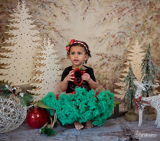 Navidad-13511