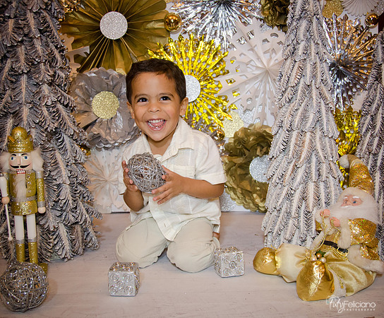 Navidad 3 2014-4266