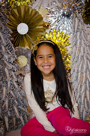 Navidad 3 2014-4179