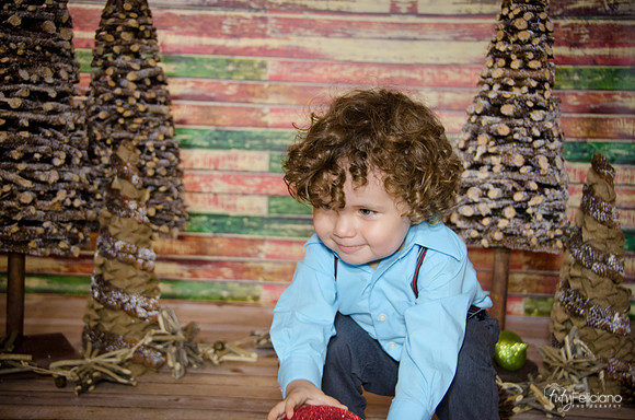 Navidad 3 2014-2189