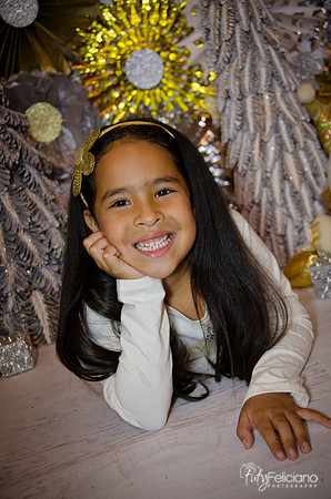 Navidad 3 2014-4186