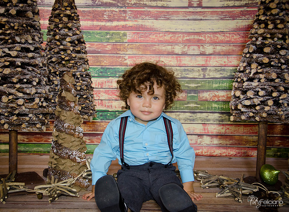 Navidad 3 2014-2206