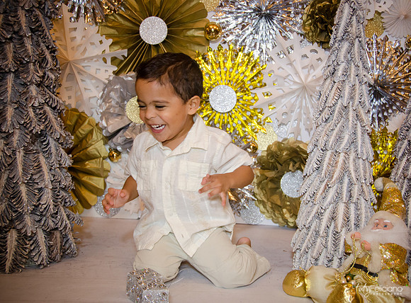 Navidad 3 2014-4249