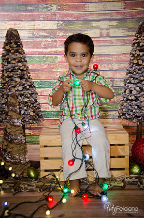 Navidad 3 2014-4011