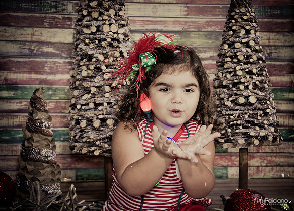 Navidad 2014-1623