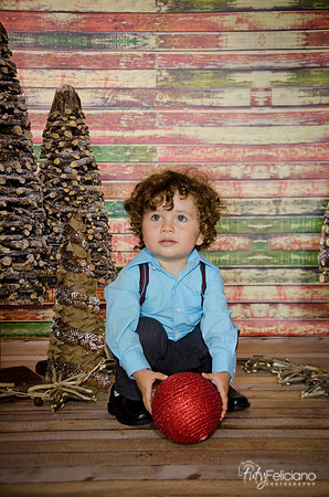 Navidad 3 2014-2153