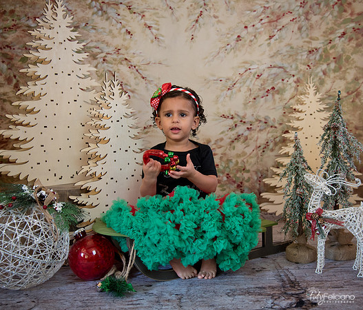 Navidad-13508