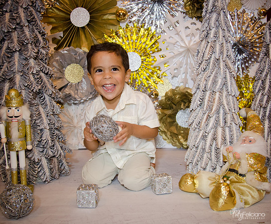 Navidad 3 2014-4267