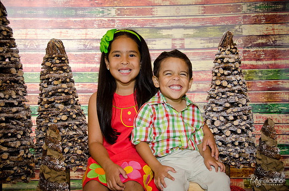 Navidad 3 2014-3975