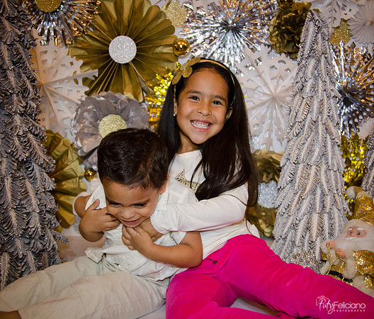 Navidad 3 2014-4217