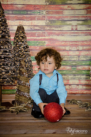 Navidad 3 2014-2148