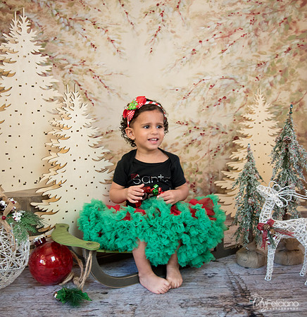Navidad-13587