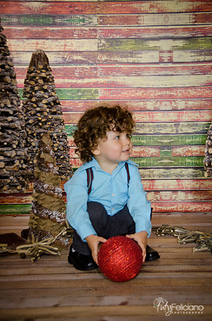 Navidad 3 2014-2155