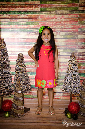 Navidad 3 2014-4113
