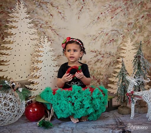 Navidad-13510