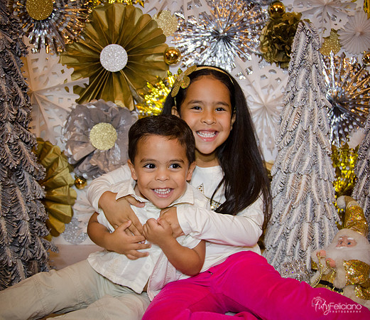 Navidad 3 2014-4220