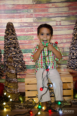 Navidad 3 2014-4000