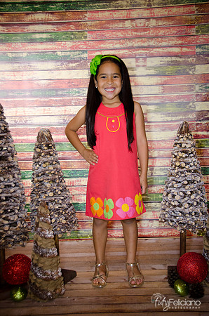 Navidad 3 2014-4114