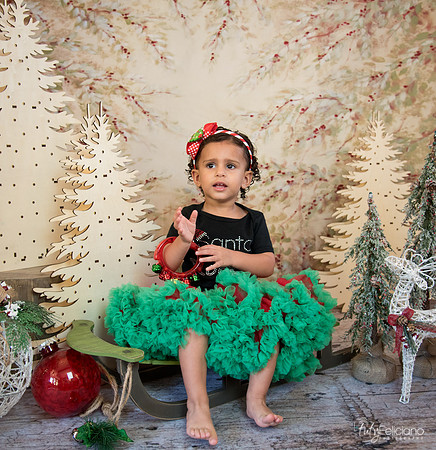 Navidad-13581