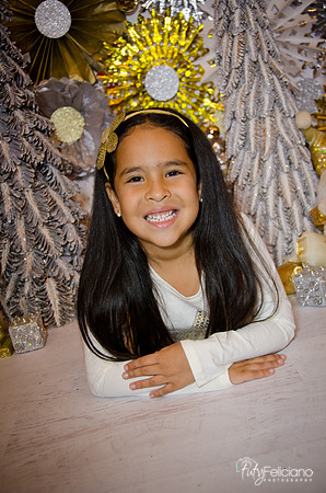 Navidad 3 2014-4191