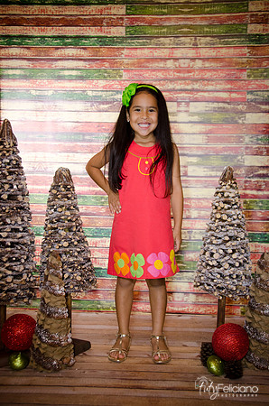 Navidad 3 2014-4112