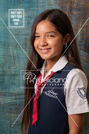 Adianez 4-2667