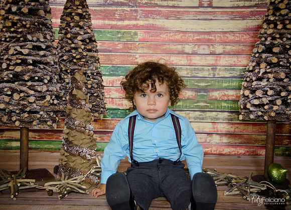 Navidad 3 2014-2203