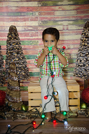 Navidad 3 2014-3995