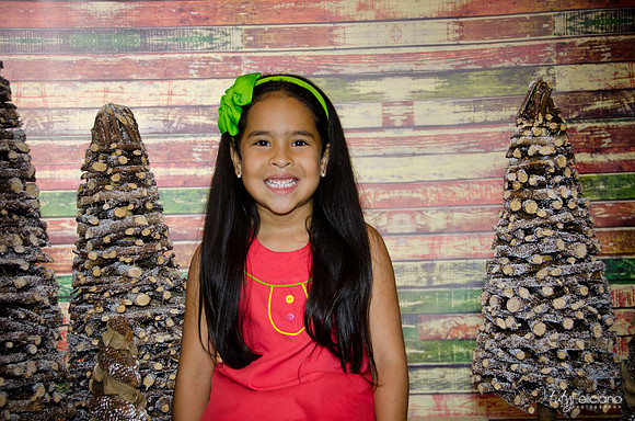 Navidad 3 2014-3965