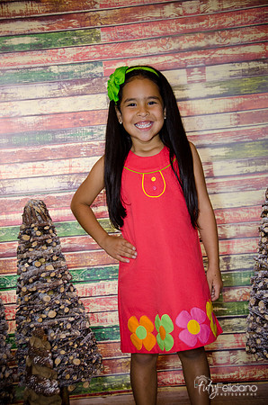 Navidad 3 2014-4121