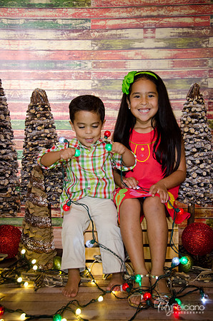 Navidad 3 2014-4027