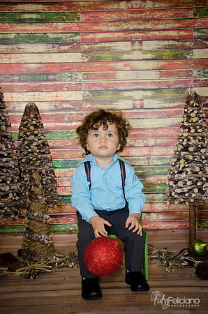 Navidad 3 2014-2248