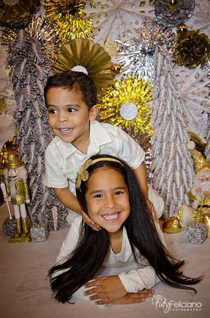 Navidad 3 2014-4203