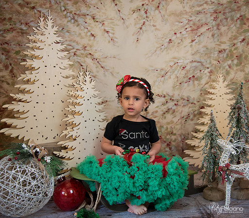 Navidad-13518