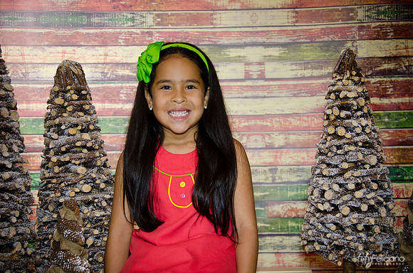 Navidad 3 2014-3962