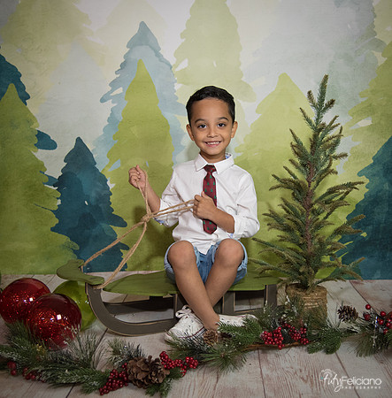 16navidad-119