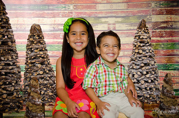 Navidad 3 2014-3974