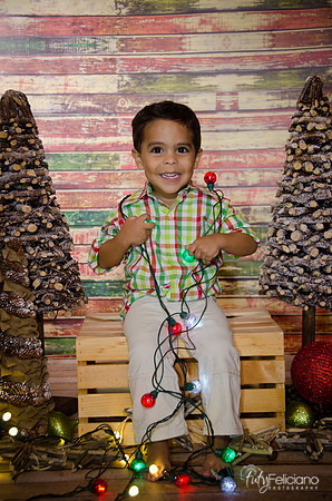 Navidad 3 2014-4001