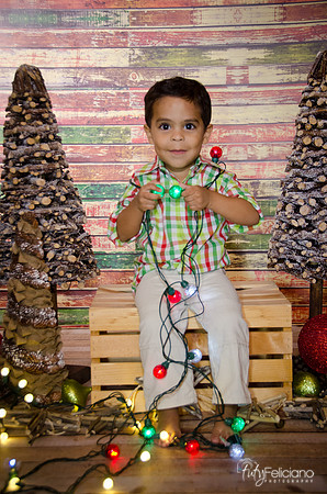 Navidad 3 2014-4010