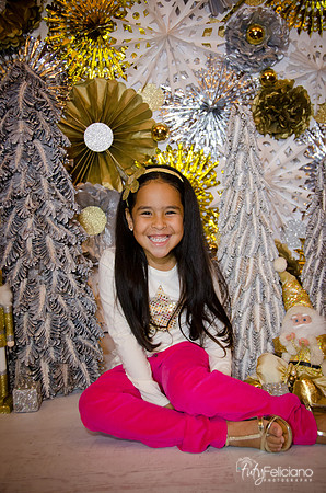 Navidad 3 2014-4175