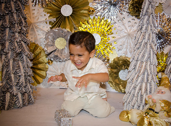Navidad 3 2014-4247