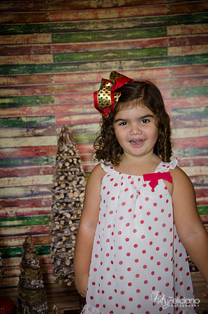 Navidad 2014-1158