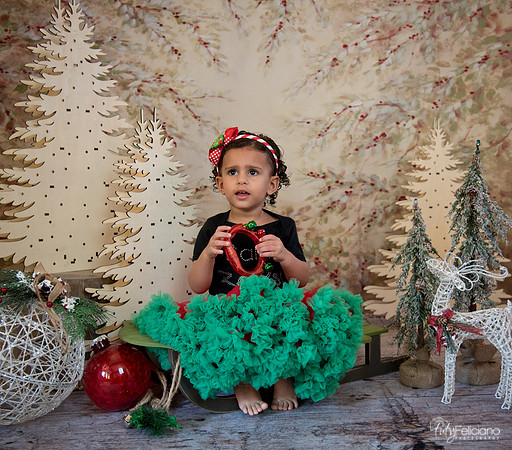 Navidad-13512