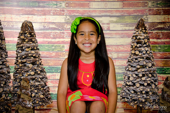 Navidad 3 2014-3958