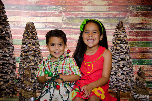 Navidad 3 2014-4109